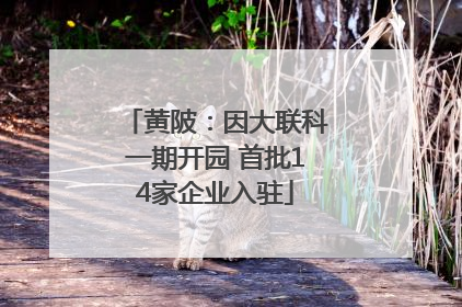 黄陂：因大联科一期开园 首批14家企业入驻